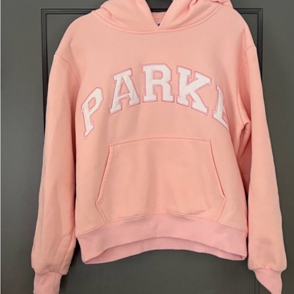 PARKE Ballet Pink Hoodie in L/XL *sold out online* Matching pants in my closet